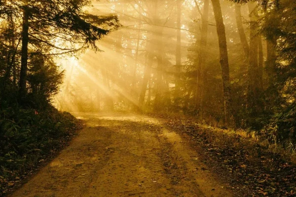 Image for article titled November Newsletter